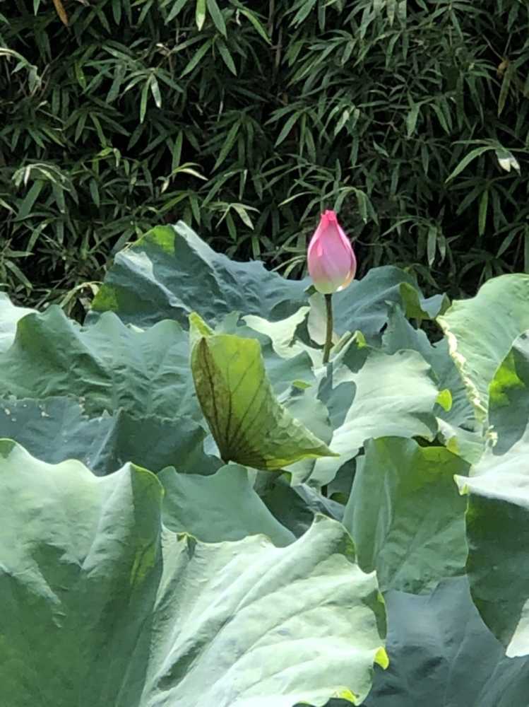 8家獲選112年製造業能源管理示範輔導計畫政府補助